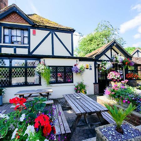 Ye Olde Red Lion Bed and Breakfast Newbury  Exteriör bild